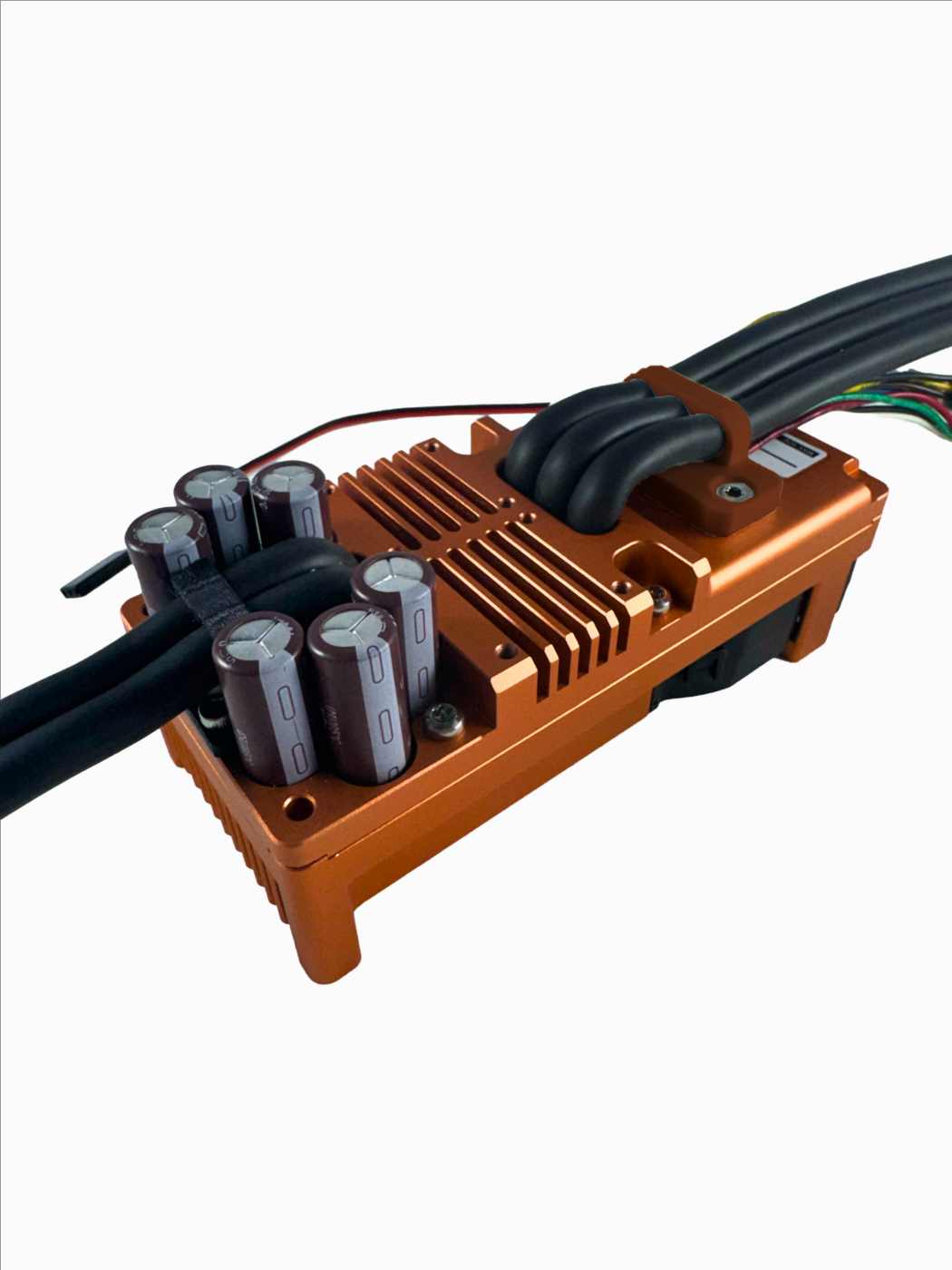 Raptor C FAN - view 4