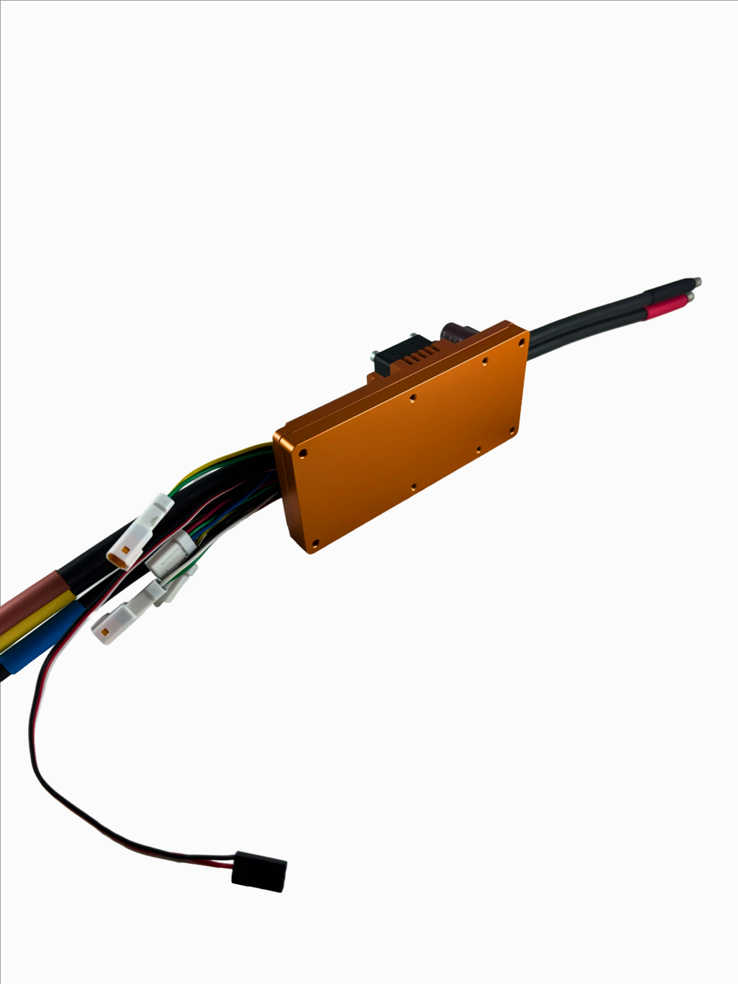 Raptor C FLAT - view 5
