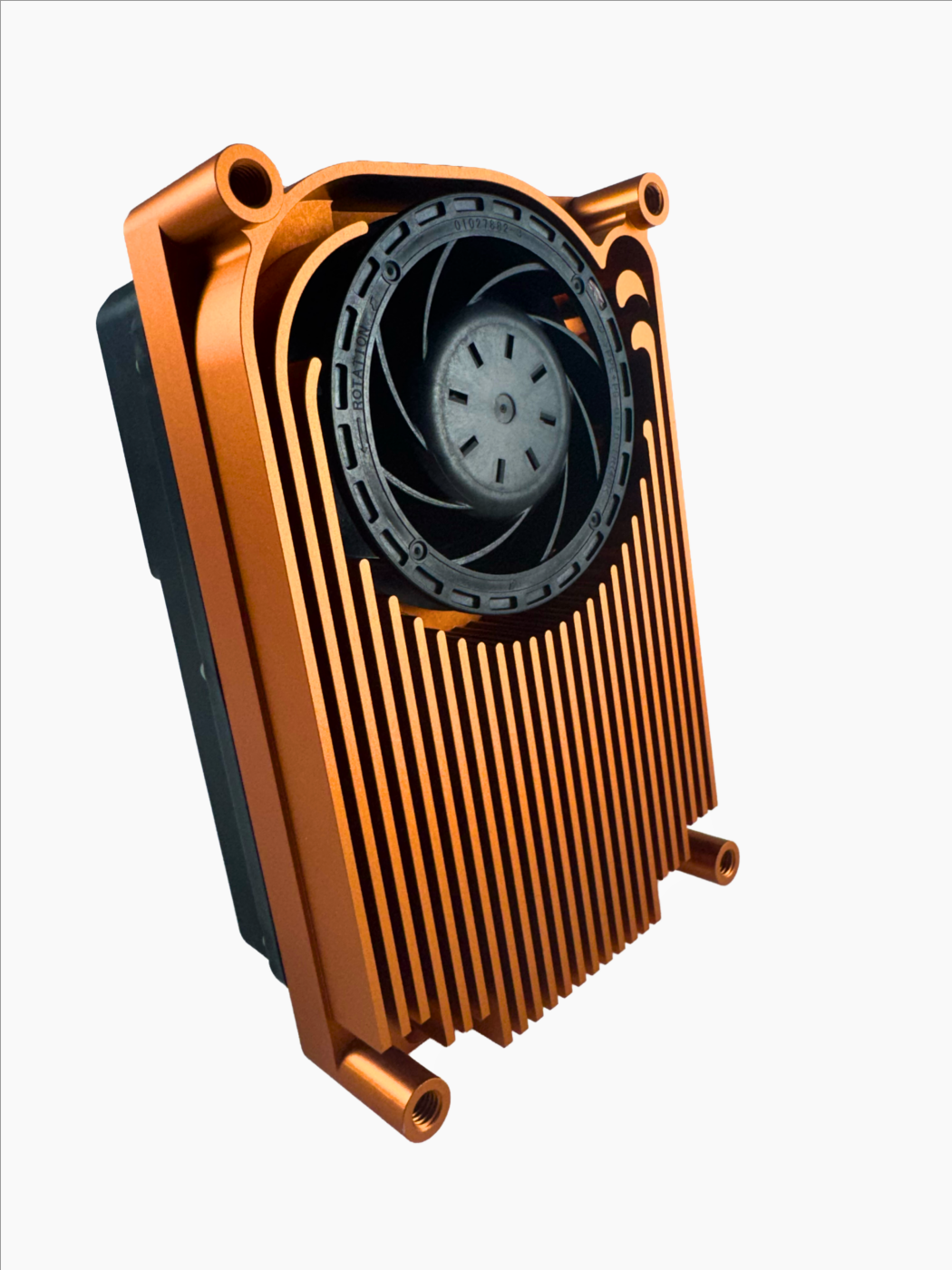 Raptor L FAN - view 3